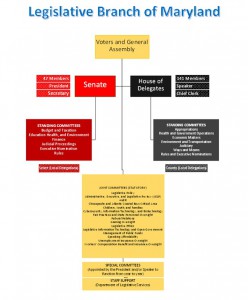 Diagram showing the Legislative Branch of Maryland