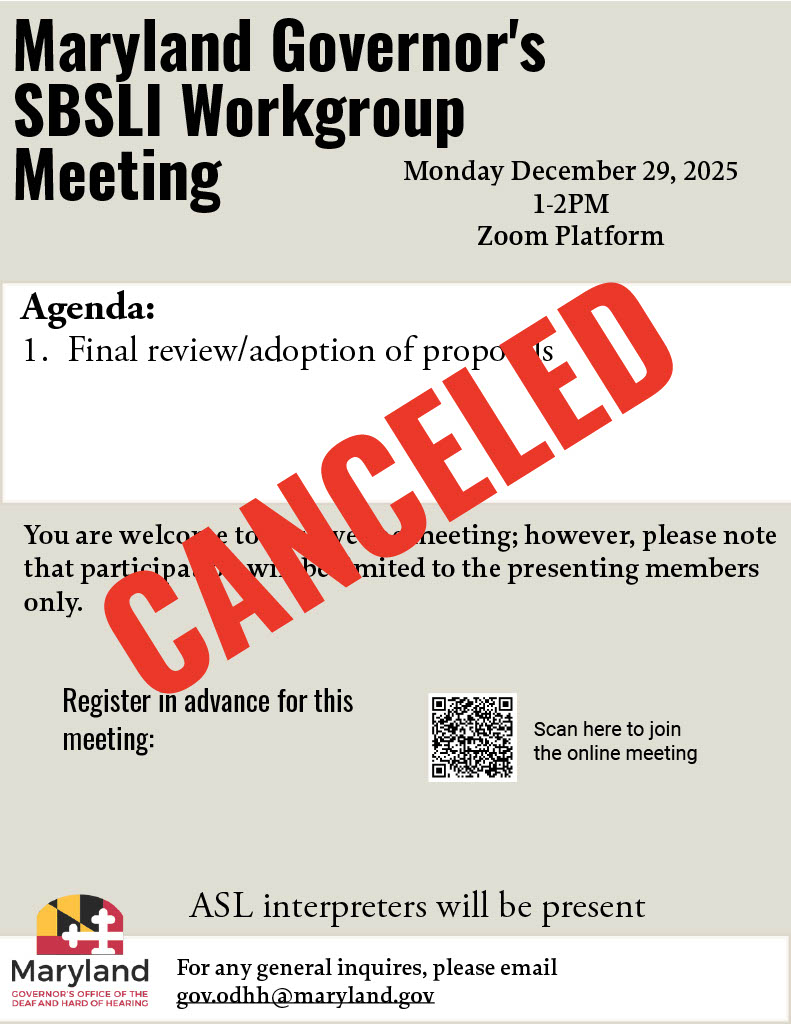 Gov Office Workgroup Meeting Dec. 29, 2025 for SBSLI